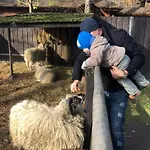 Kwatera Na Sliwkowej * Zabrzeg