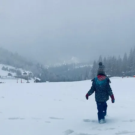 Kwatera Na Sliwkowej Zabrzeg