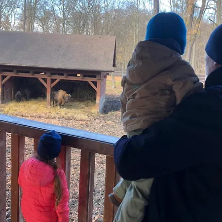 Kwatera Na Sliwkowej Zabrzeg