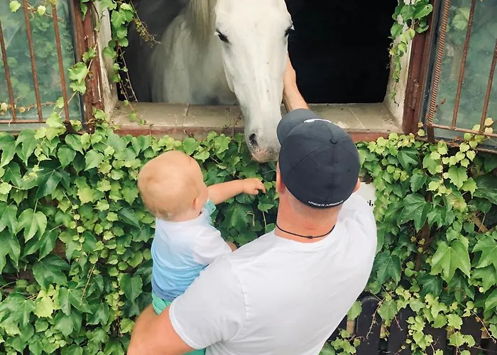 Kwatera Na Sliwkowej