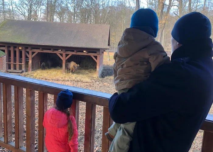 Kwatera Na Sliwkowej Zabrzeg