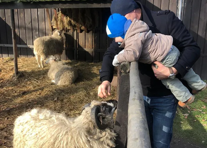 Kwatera Na Sliwkowej * Zabrzeg